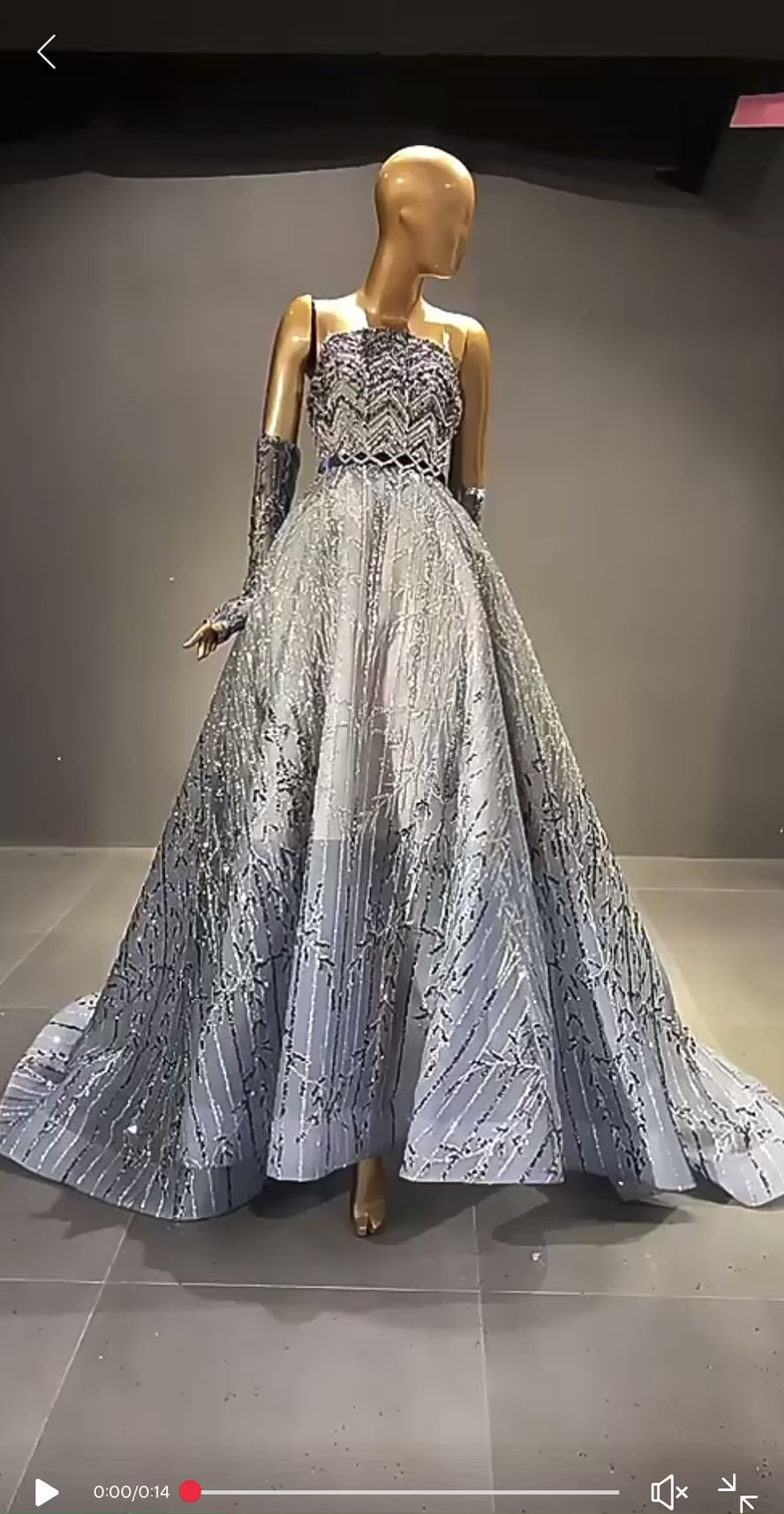 SOFIANA GOWN